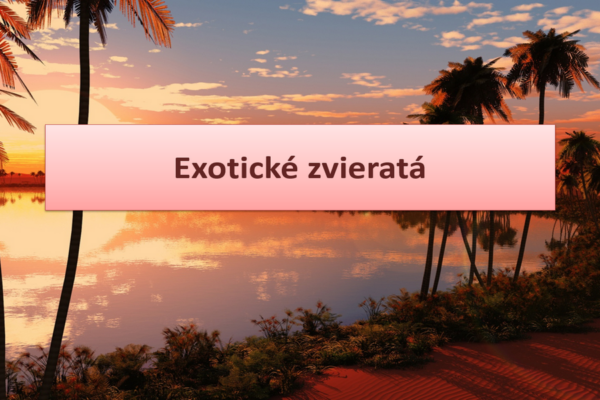 ppt-prezentacia-exoticke-zvierata