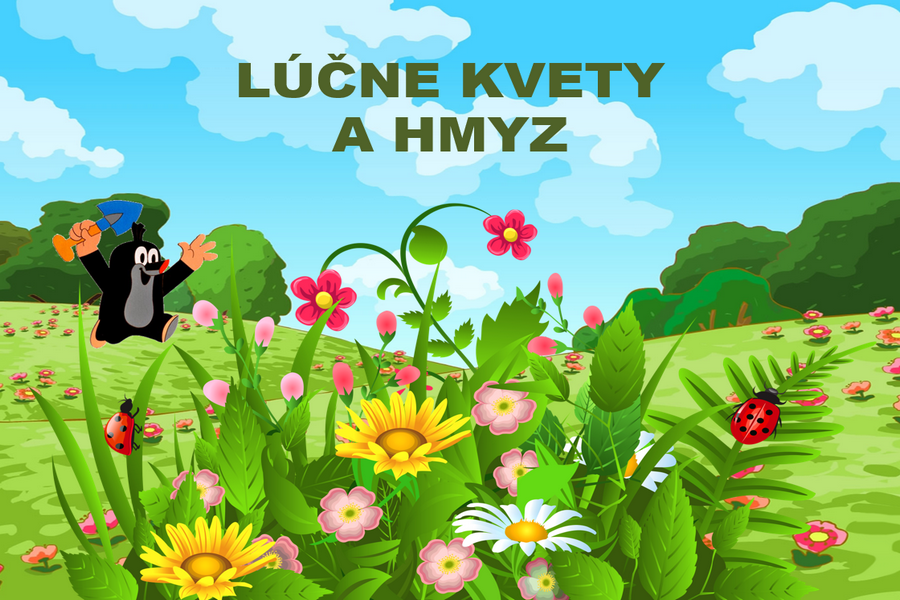 PPT Prezentácia – Lúčne kvety a hmyz