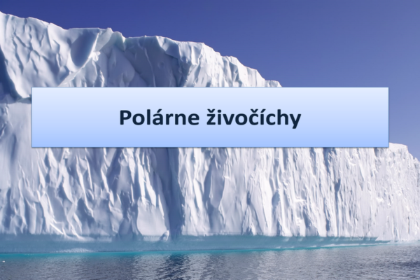 ppt-prezentacia-polarne-zivocichy