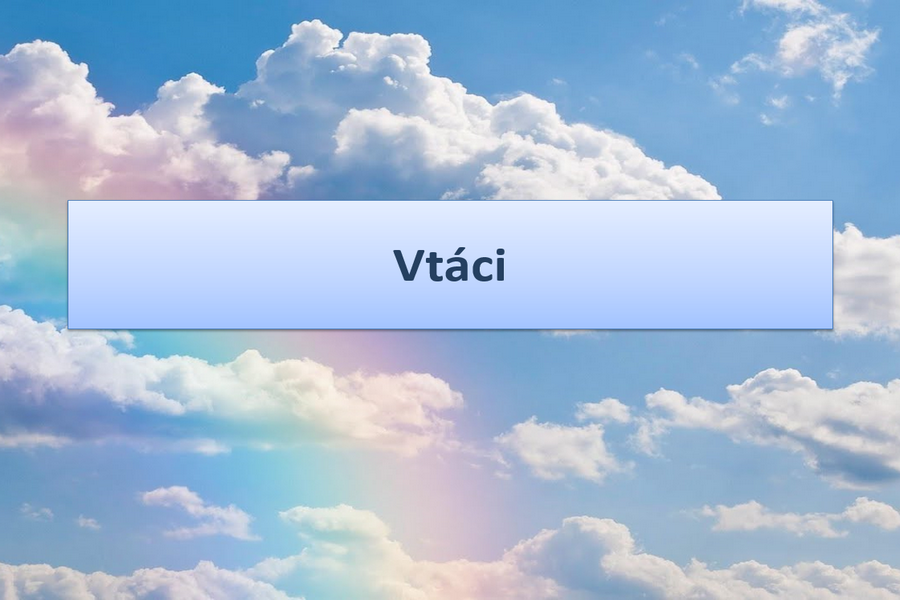 PPT Prezentácia – Vtáci