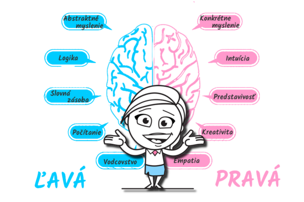 prava-lava-hemisfery